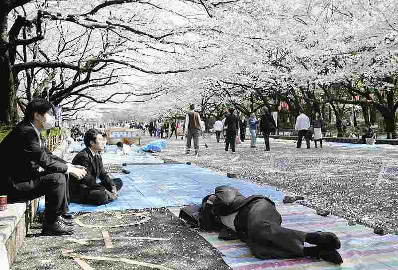 Japan's economy to bloom as <i>hanami</i> season kicks off - The Japan Times