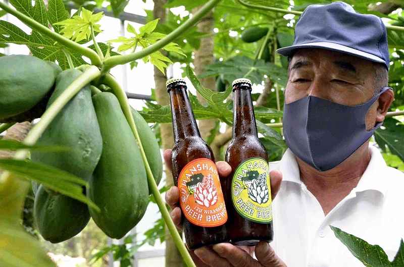 Garden releases papaya beer - The Japan News