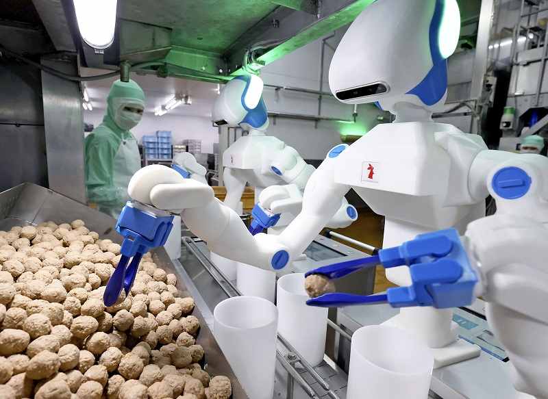 Processing power: Robot speeds production at Nagoya food