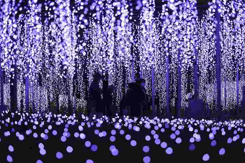 Tochigi Illumination event kicks off at Ashikaga Flower Park The