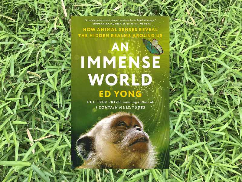 An Immense World: How Animal Senses Reveal the Hidden Realms around Us by  Ed Yong, Paperback