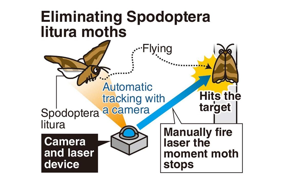 Flit Aerosol Fly and Mosquito Killer - Science History Institute