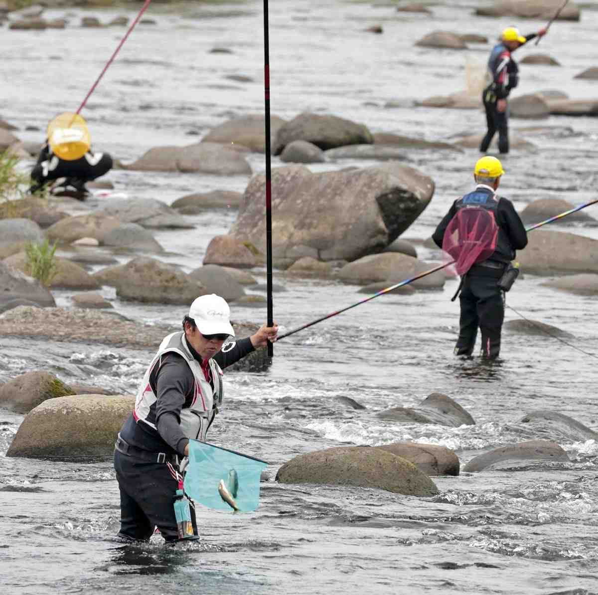 Sweetfish Fishing Season Opens in Japan's Northern Kyushu - The Japan News