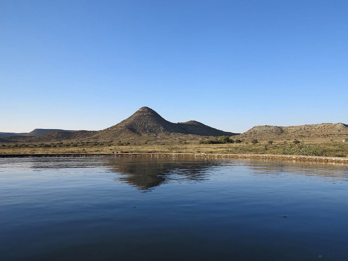 S.アフリカ化石は古代の獣の忘却への叙事詩の旅を明らかにします。