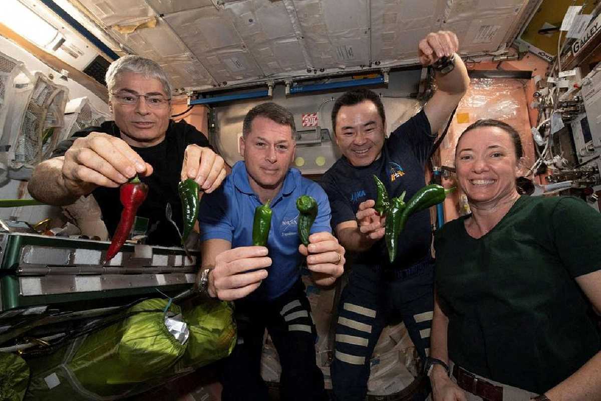 La NASA busca ampliar el menú con comida en el espacio