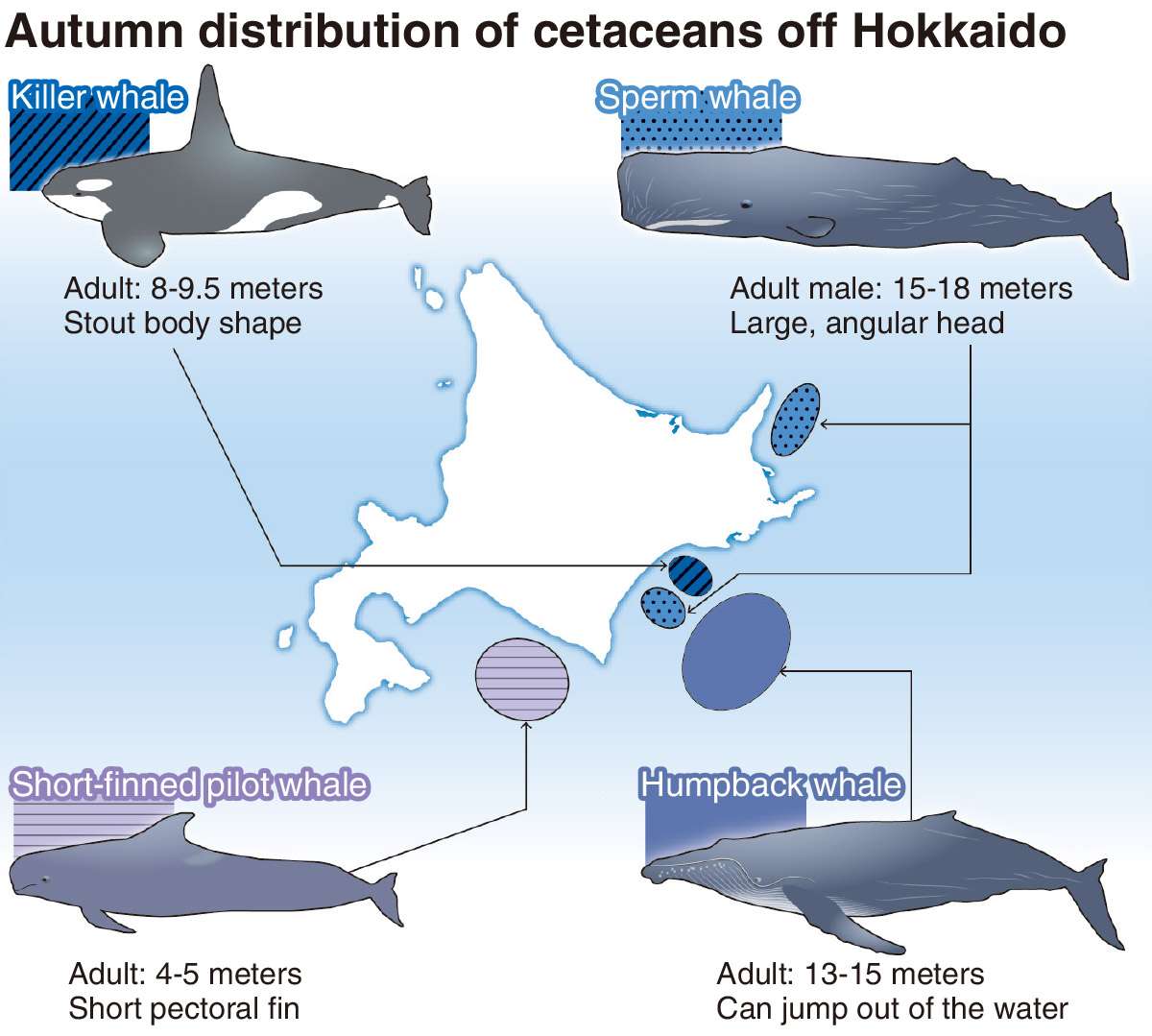 https://japannews.yomiuri.co.jp/wp-content/uploads/2023/06/10594872.jpg