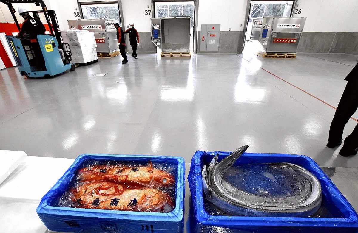 Japan-to-China Fish Exports Fall 34％ - The Japan News