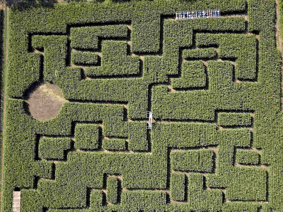 Maze Within Mazes - Other & Anime Background Wallpapers on Desktop Nexus  (Image 1149087)