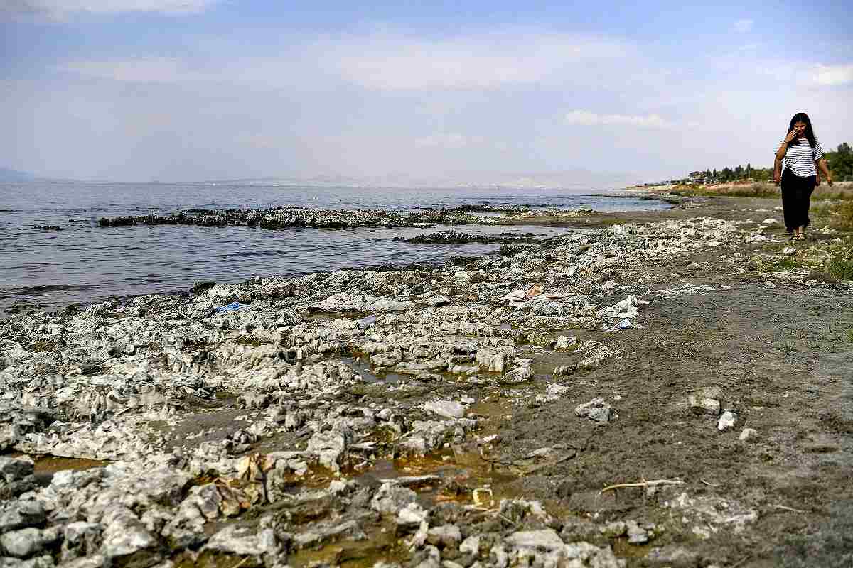 「動物はのどが渇いている」：減少しているトルコ湖のほこりや骨