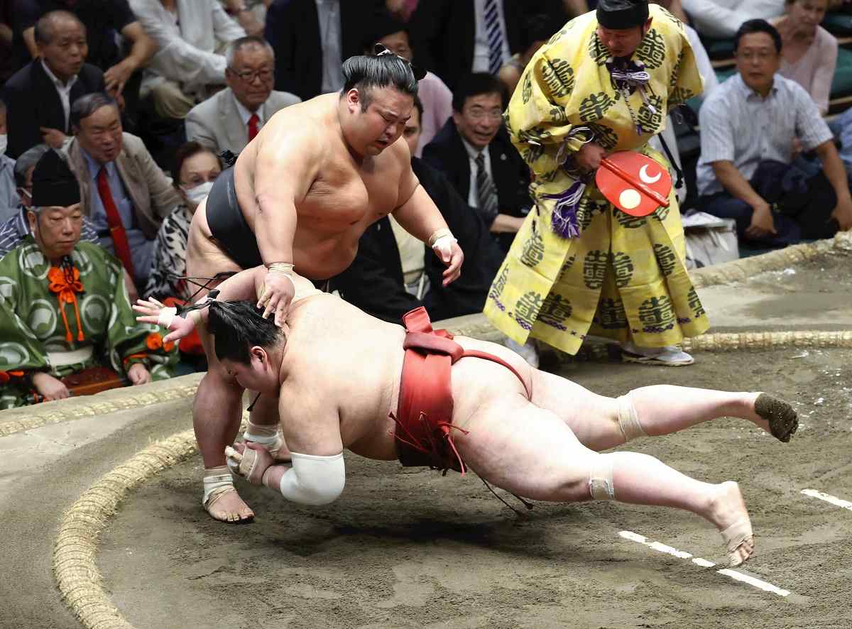 SUMO