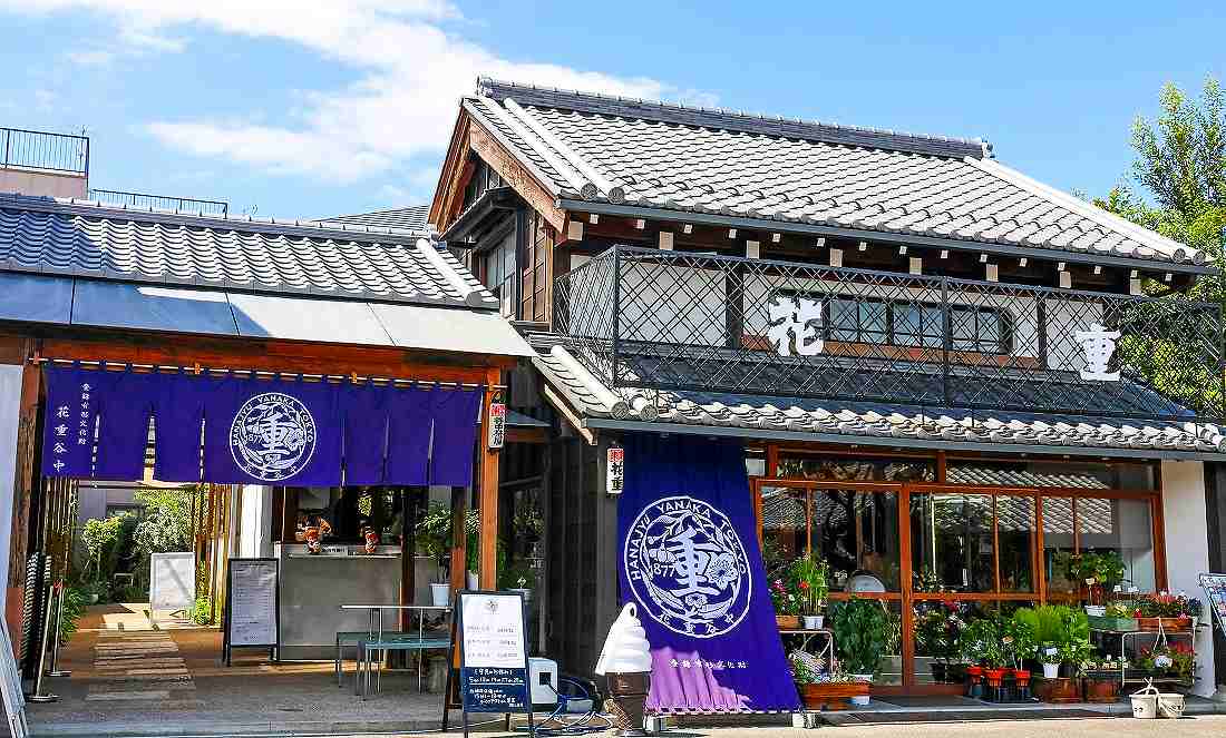 150年以上の花屋がカフェで再び咲く