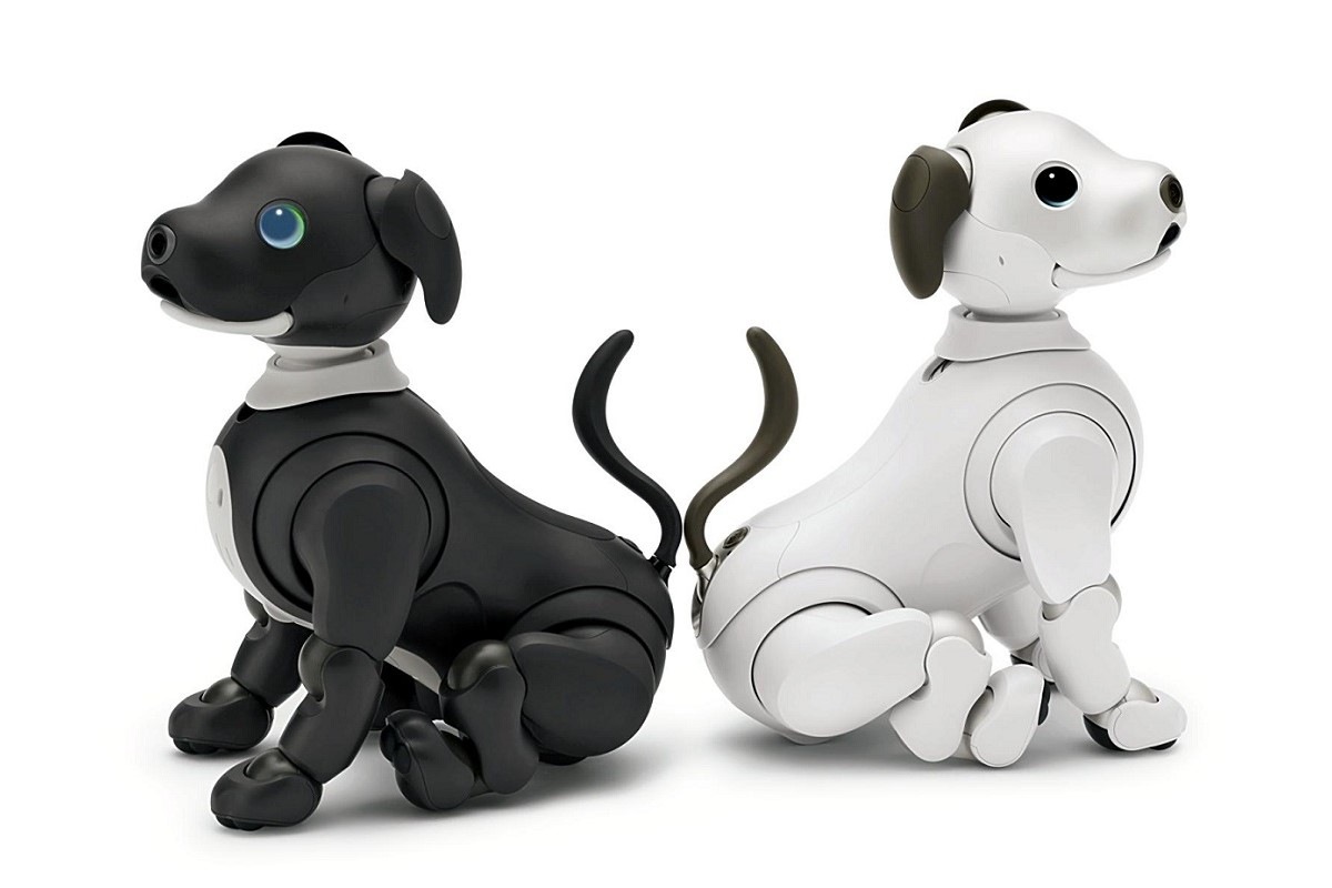 Sony to Start 'Foster Parent Program' for Aibo Dog Robots - The