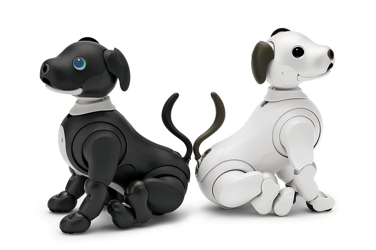 Aibo puppy hot sale robot