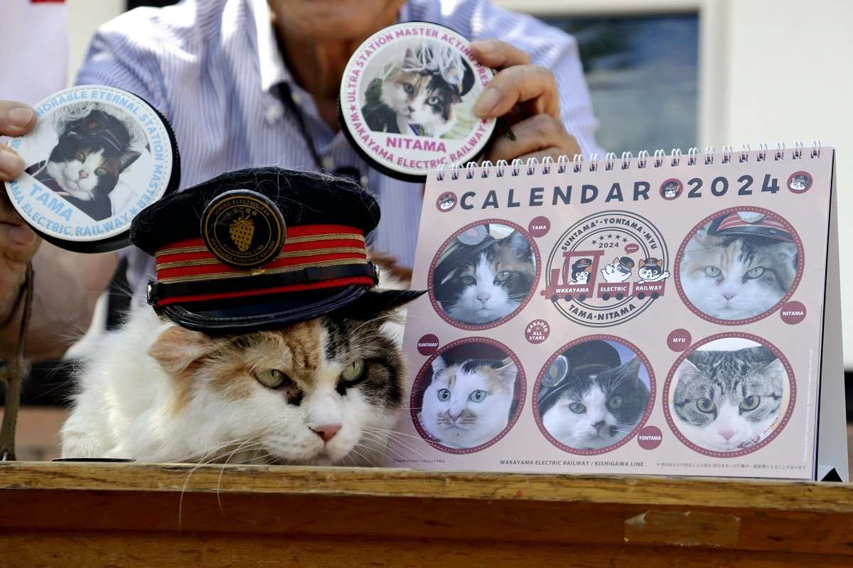Here's how to import your pet cat into Japan - The Washington Post
