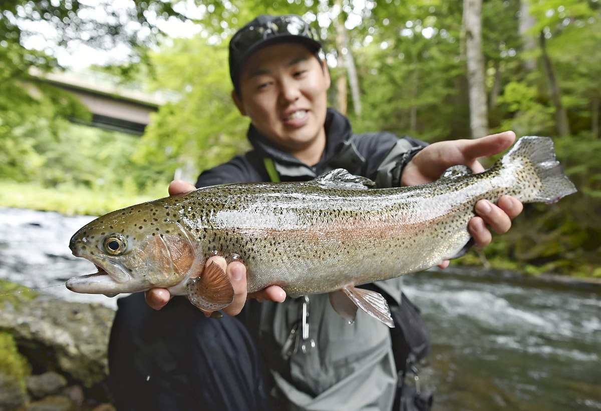 Fly Fishing at River and Lake Akan - North Island, HOKKAIDO