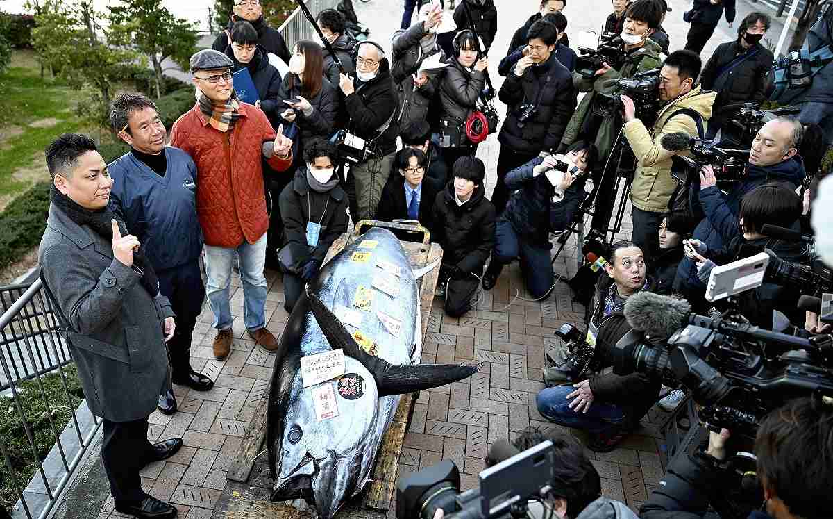 Tuna Reels in ¥114 million at New Year's Auction; Highest Price in Four  Years - The Japan News