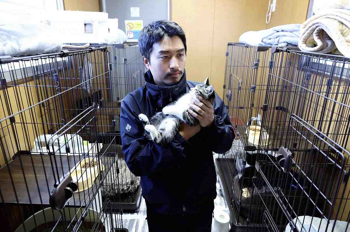 Wajima paint artist rescues cats separated from their owners in the Noto earthquake