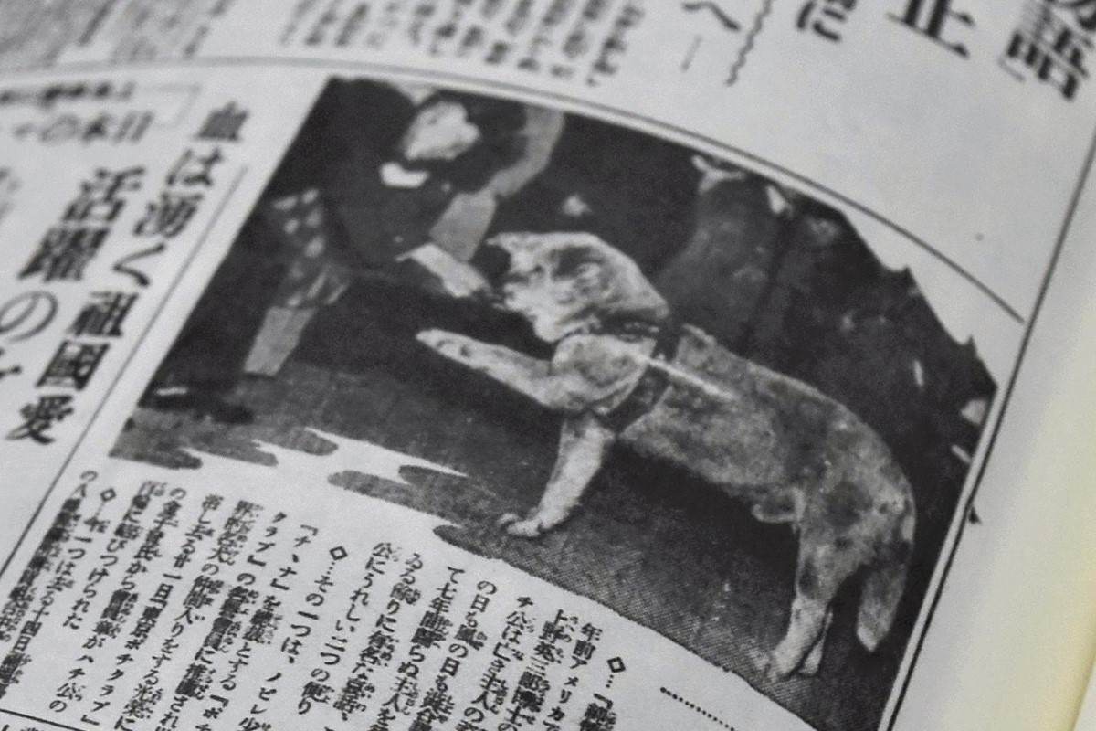 https://japannews.yomiuri.co.jp/wp-content/uploads/2024/10/Hachiko2-1-1.jpg