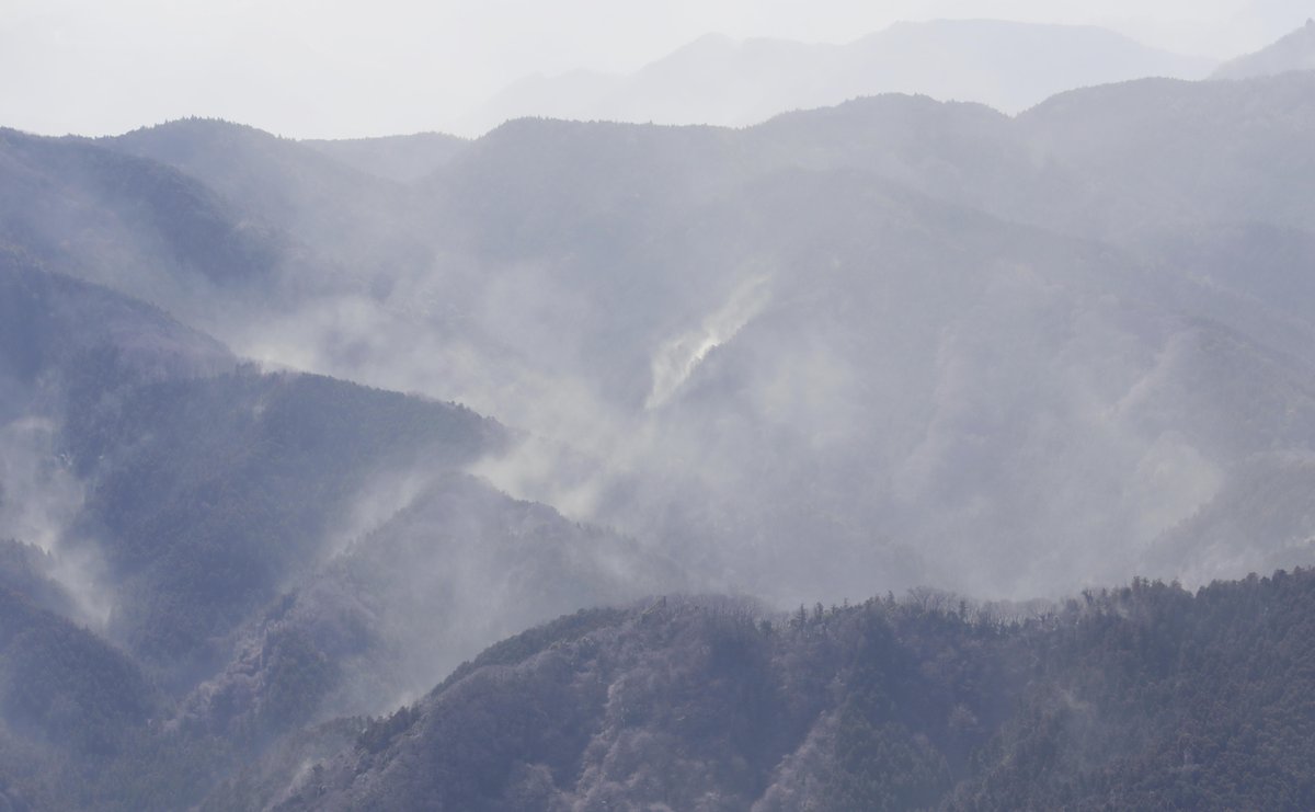 https://japannews.yomiuri.co.jp/wp-content/uploads/2024/12/pollen.jpg