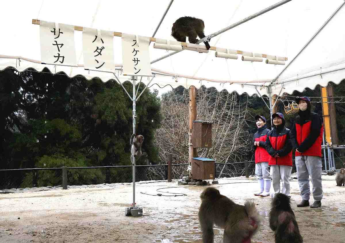 https://japannews.yomiuri.co.jp/wp-content/uploads/2025/02/20250201G0SG0449990033.jpg