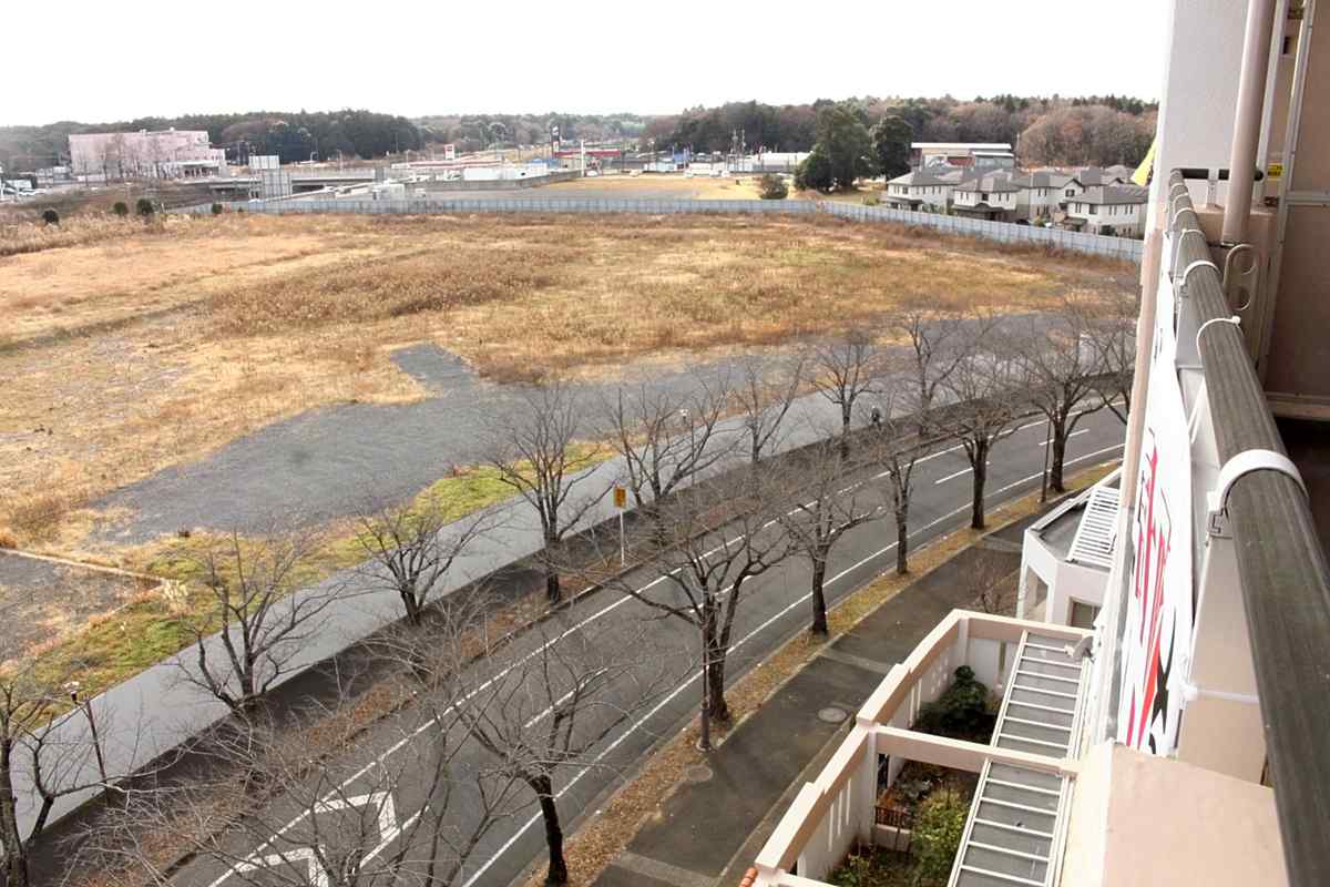 https://japannews.yomiuri.co.jp/wp-content/uploads/2025/02/Shiroi-DC-1.jpg