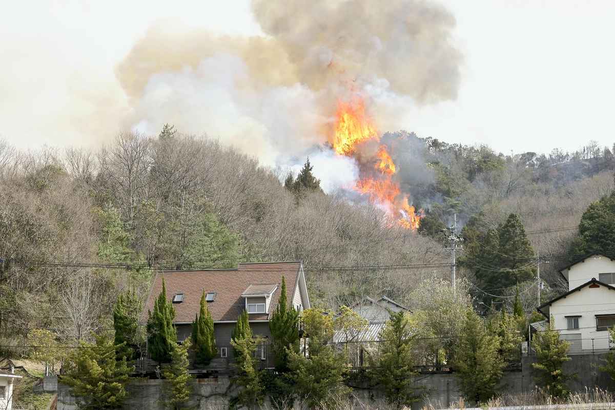 https://japannews.yomiuri.co.jp/wp-content/uploads/2025/03/wildfires-2-horizontal-1.jpg