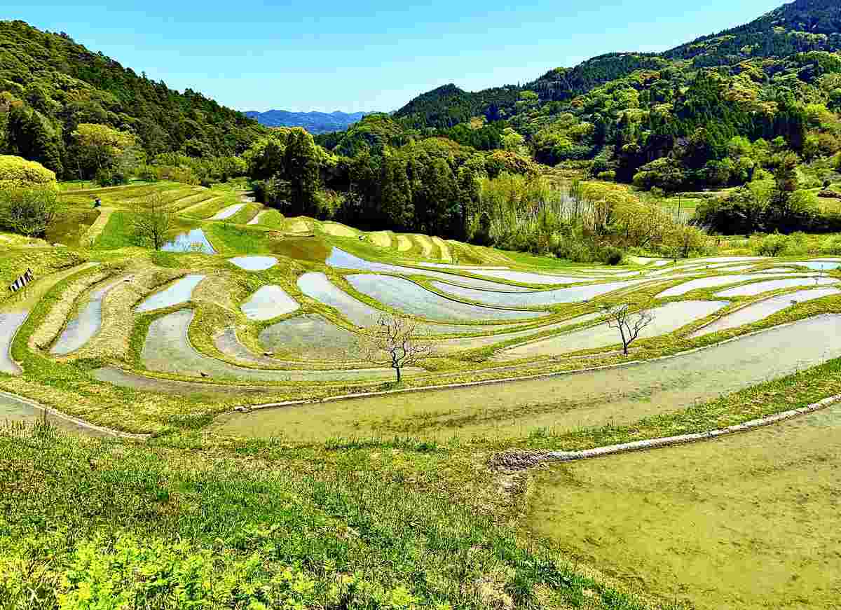 https://japannews.yomiuri.co.jp/wp-content/uploads/2025/04/SA-terraced-paddies.jpg