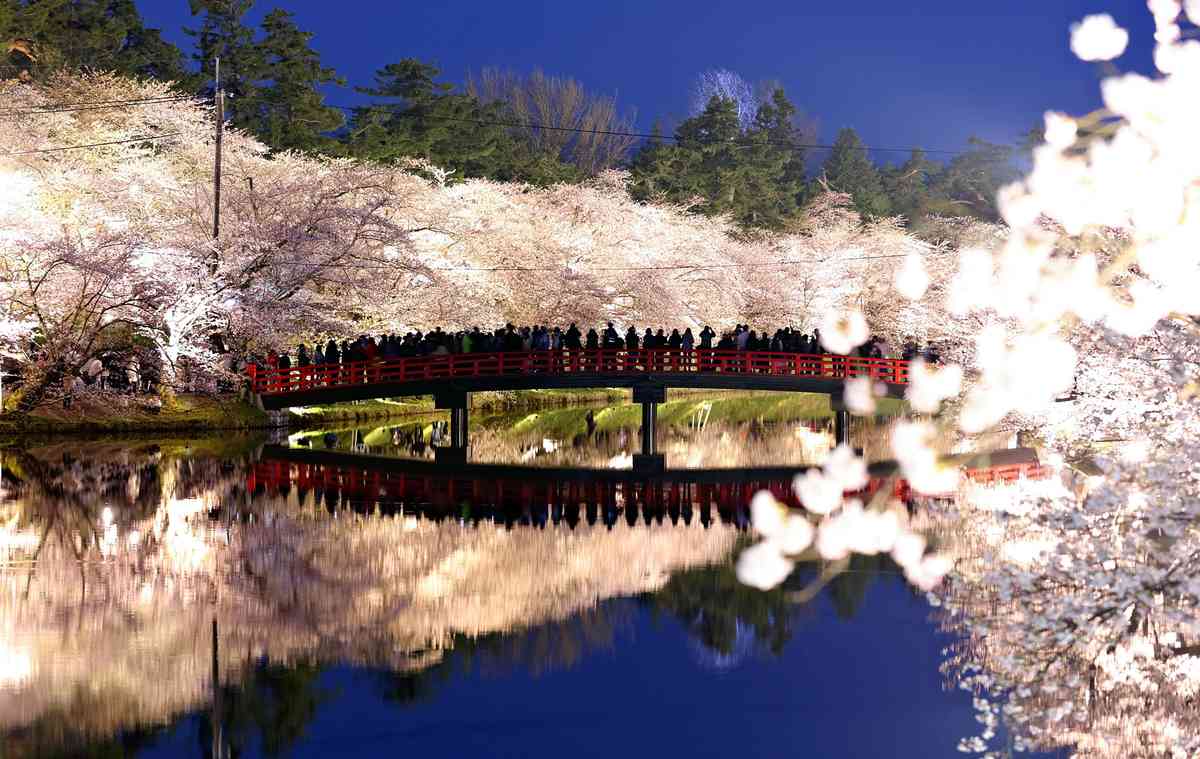 https://japannews.yomiuri.co.jp/wp-content/uploads/2025/04/sakura-in-hirosaki-1.jpg