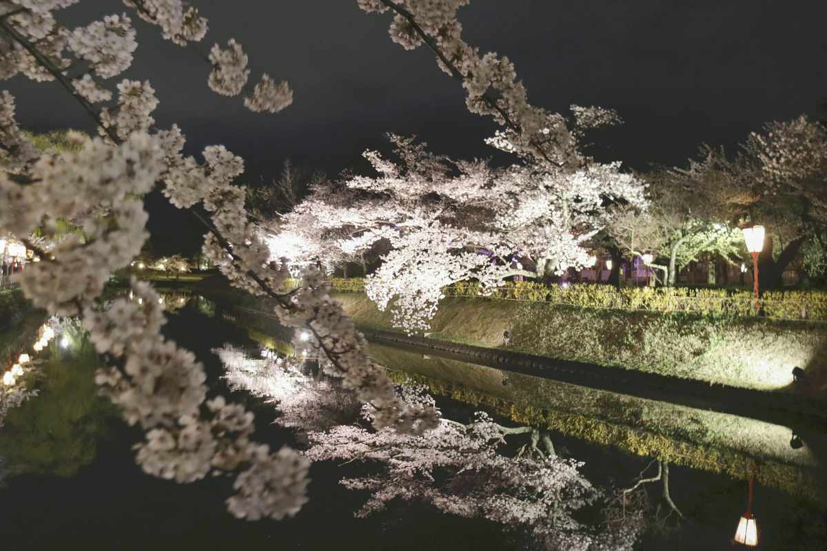 https://japannews.yomiuri.co.jp/wp-content/uploads/2025/04/sakura-in-yamagata-pref-1.jpg