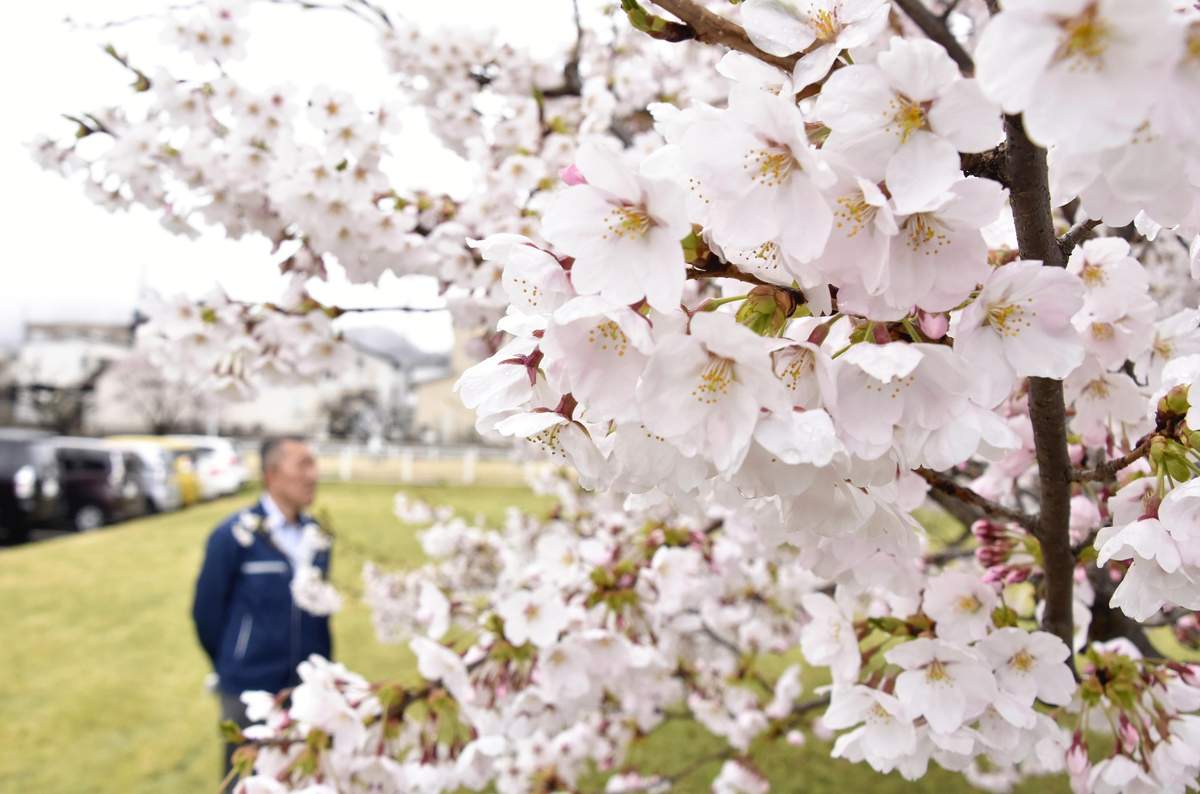 https://japannews.yomiuri.co.jp/wp-content/uploads/2025/04/yamagata.jpg