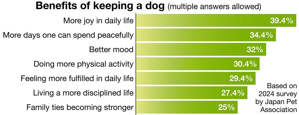 perspective dog CHART 2 (web)