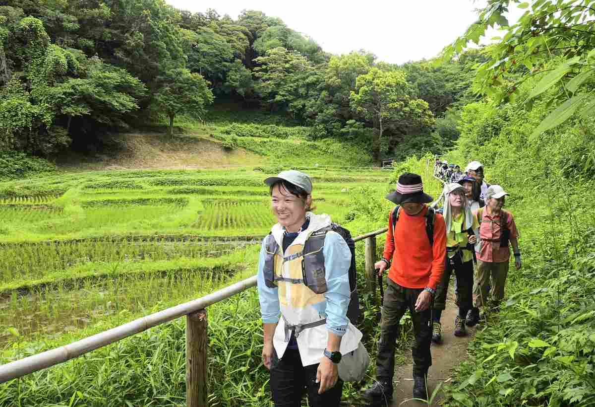 perspective mountain 1