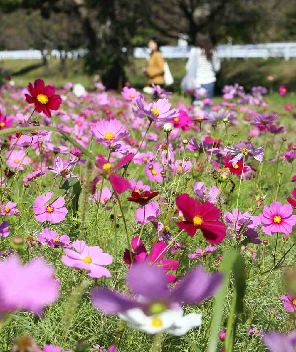 20251031G0OG0599990053