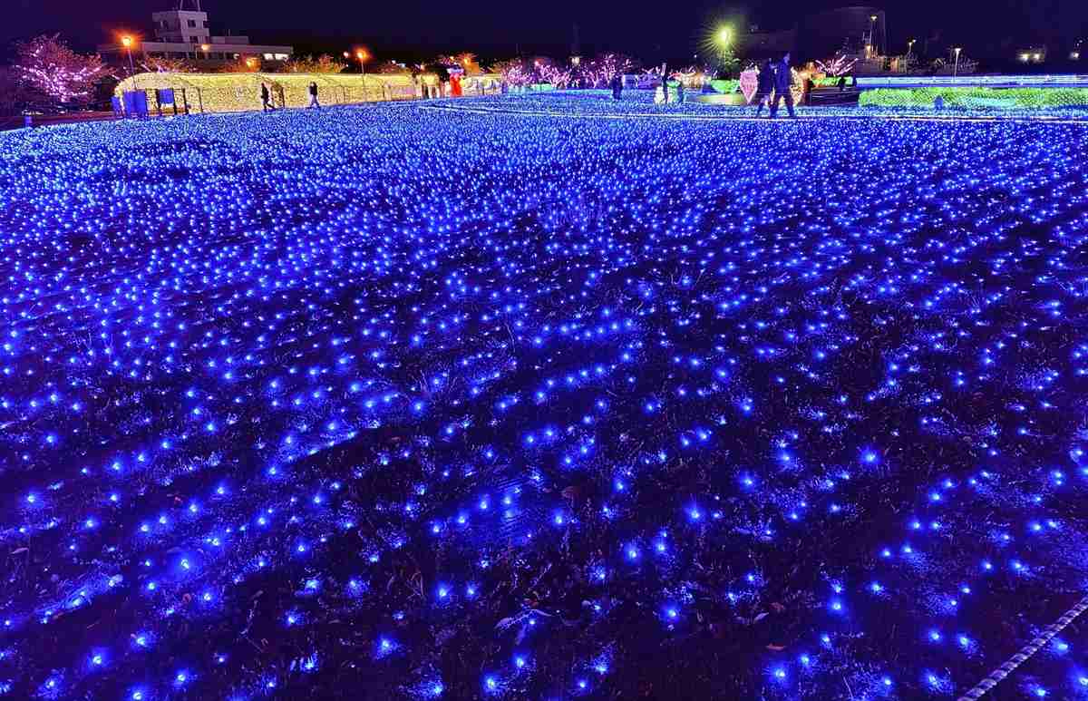 Fukui: Seaside Park Illuminations Evoke Vast Ocean at Japan’s Historic Tsuruga Port