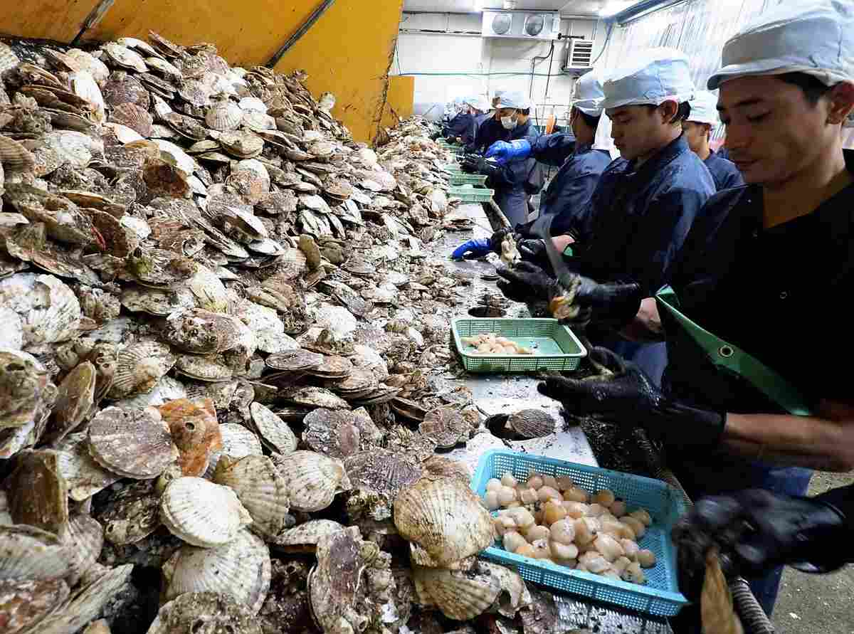 China Hints at Increasing Pressure on Japan after Suspending Imports of Japanese Seafood