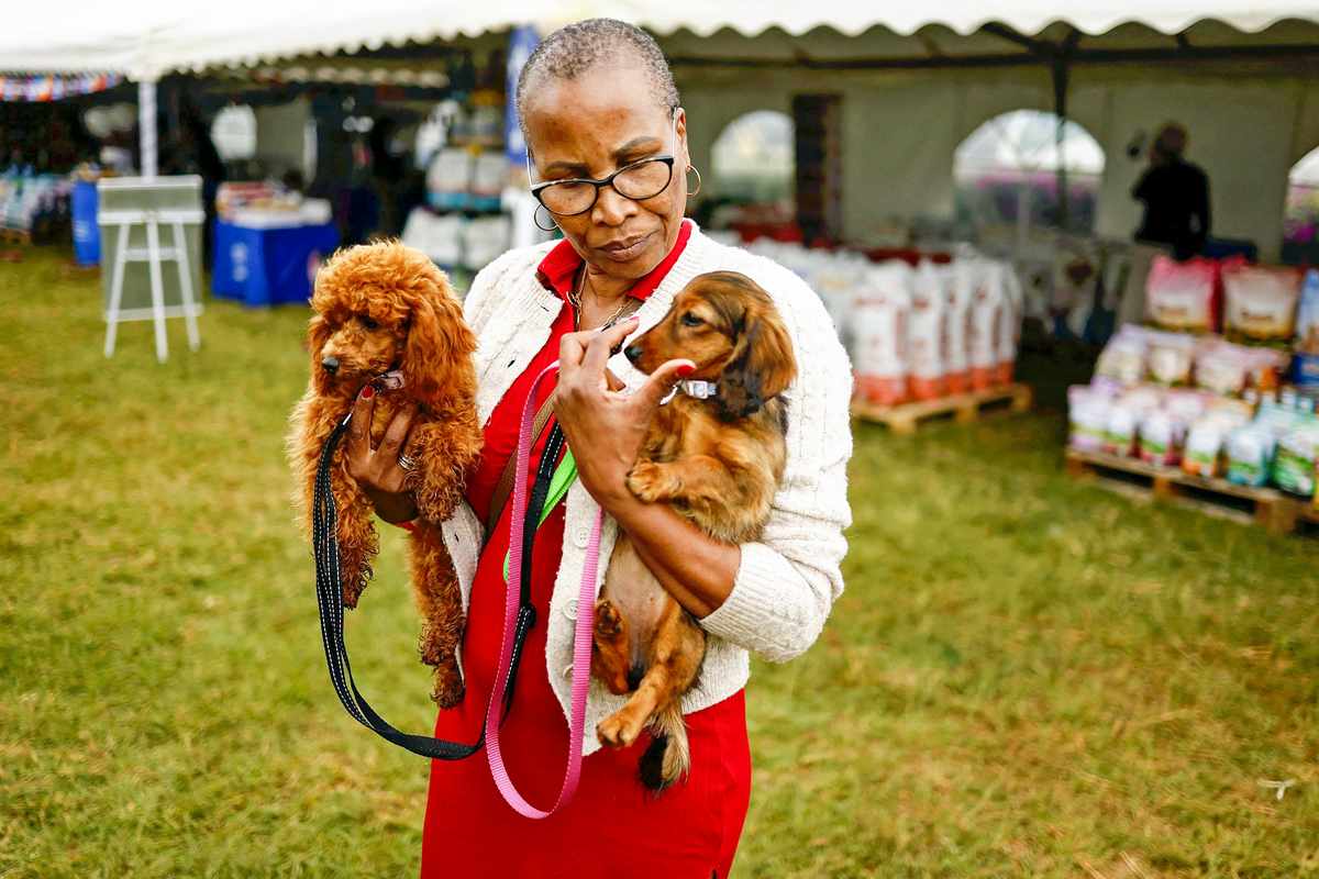 P5)Paws on parade_ Nairobi_s dog