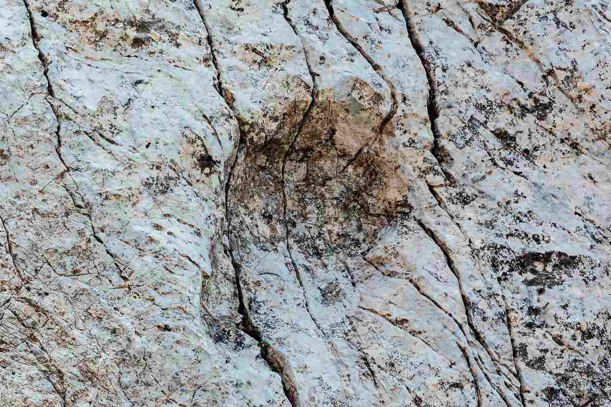 In the Italian Alps in a Region That Will Host the 2026 Winter Olympics, Collection of Dinosaur Footprints Found