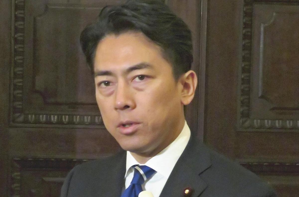 Japan Defense Minister Holds Phone Talks with Italian, NATO Officials Over Radar Issue