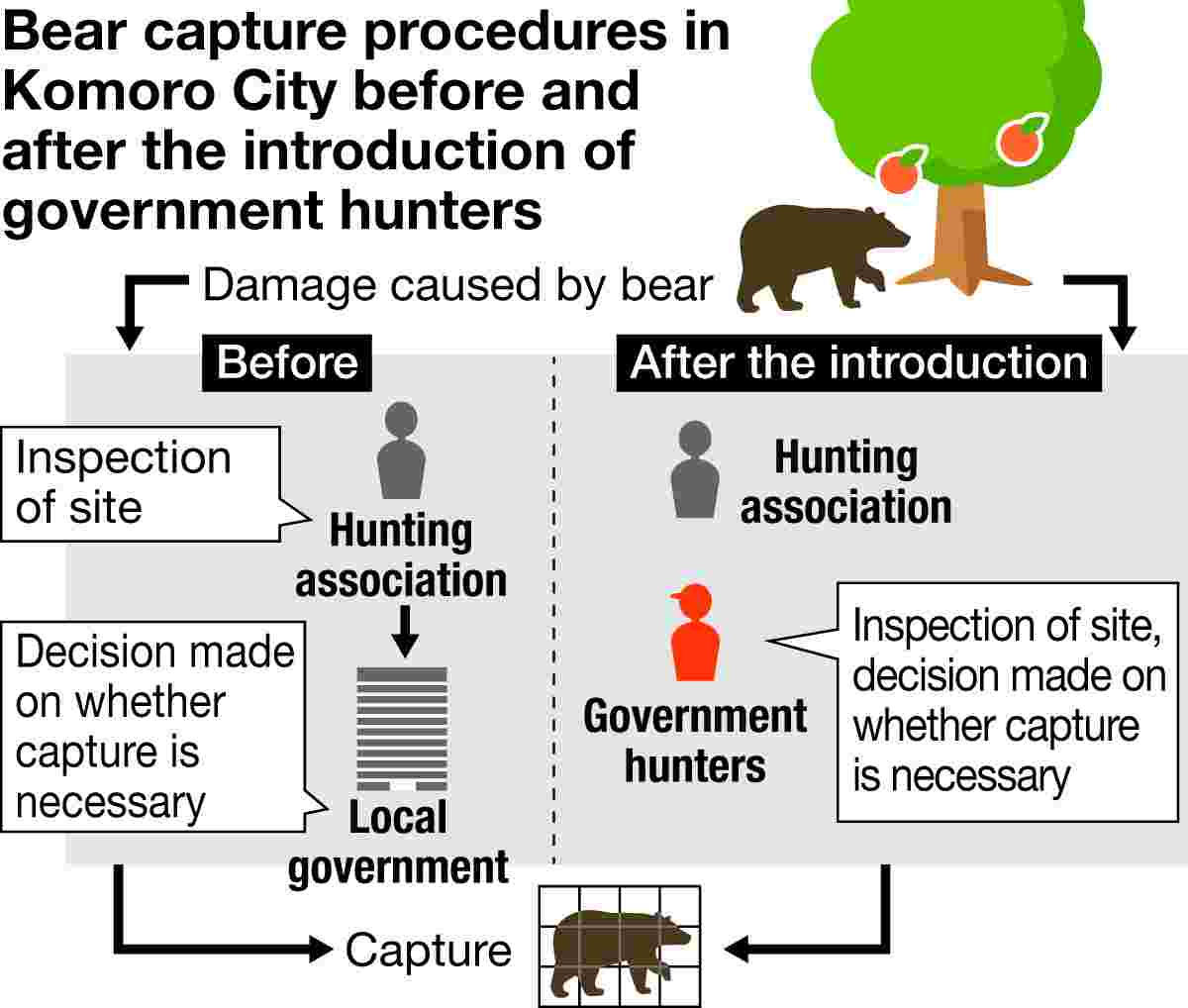 web)Government hunter chart (1)