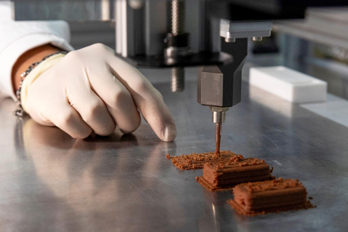 Italy Crafts Lab-grown Snacks with Fruit Residues, Plant Cells, 3D Printer