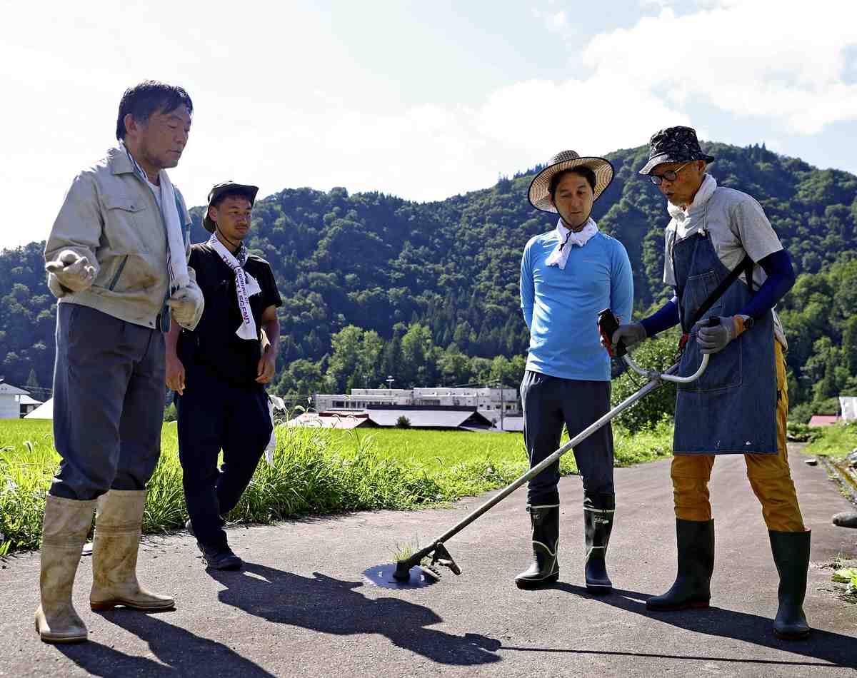 perspective extra P4