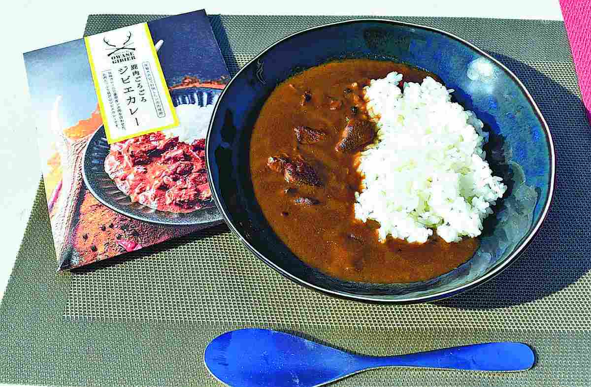 venison curry 1