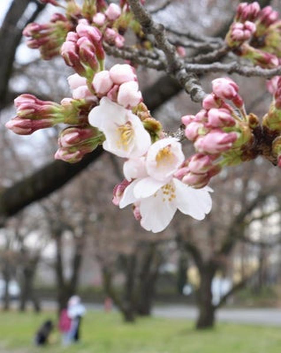 20260331-GYTNI00180-1