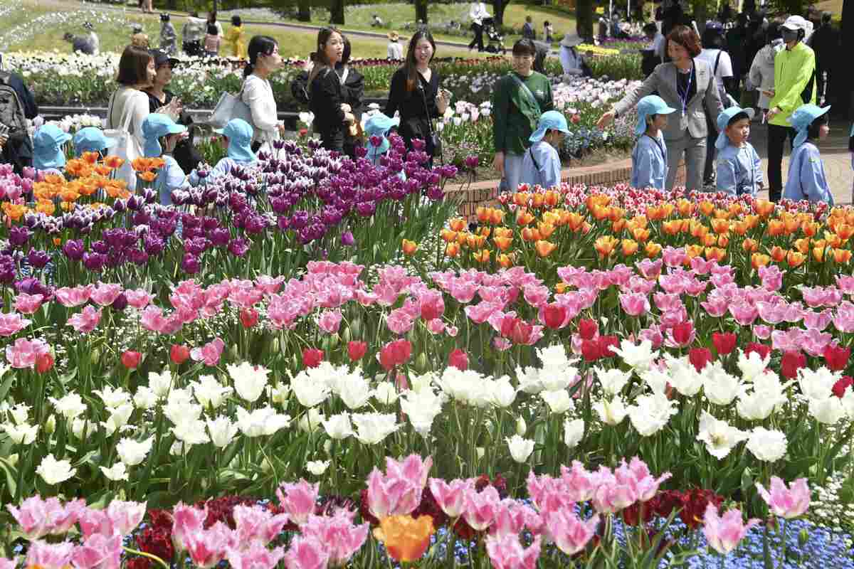 https://japannews.yomiuri.co.jp/wp-content/uploads/2026/04/Tulip-Fair-1.jpg