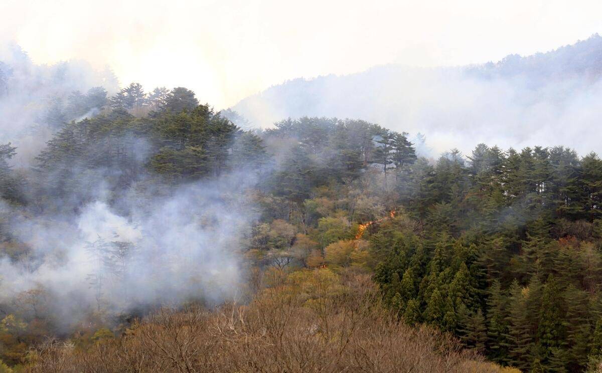 Wildfire Destroys 5 Structures in Japan’s Iwate Prefecture, Continues Spreading through Woodland