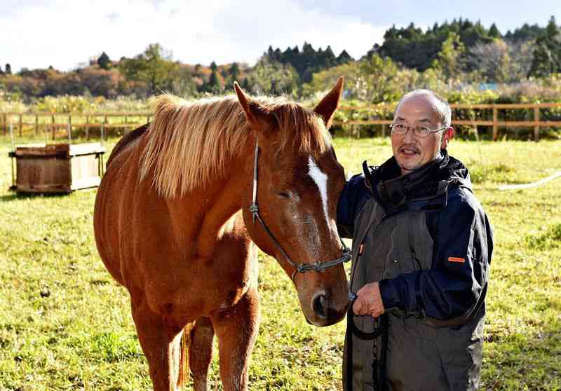 Domestic horses look to continue home dominance - The Japan Times