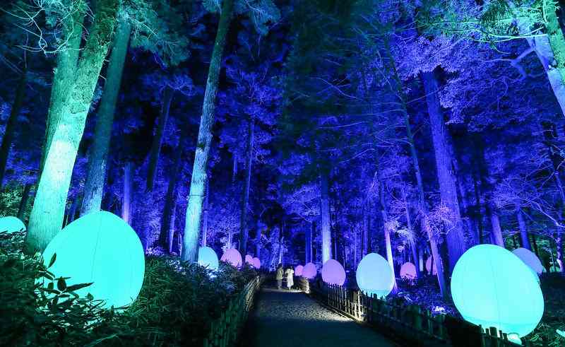 Japanese universities create glowing tree for non-electric lights